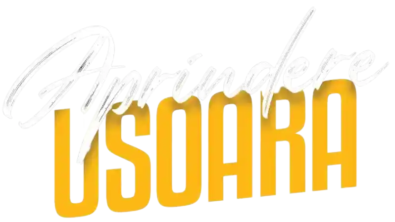 Cărbuni pentru grătar